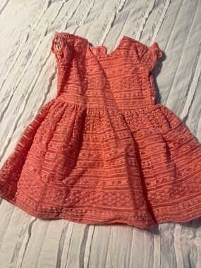 Carter's Coral Lace Casual Dress with Flutter Sleeves